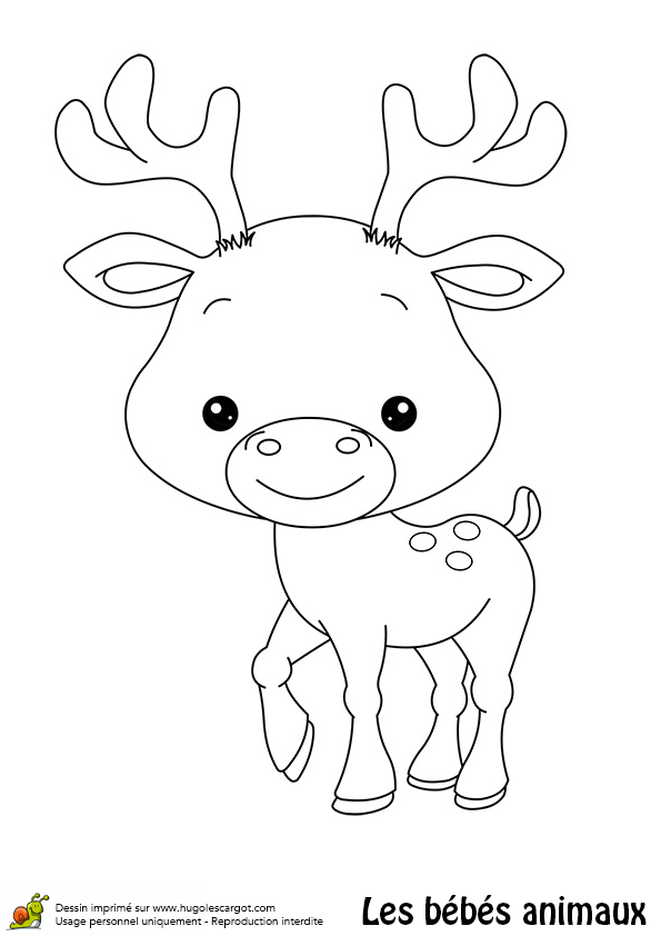 Coloriage Bebe Animaux Mignon