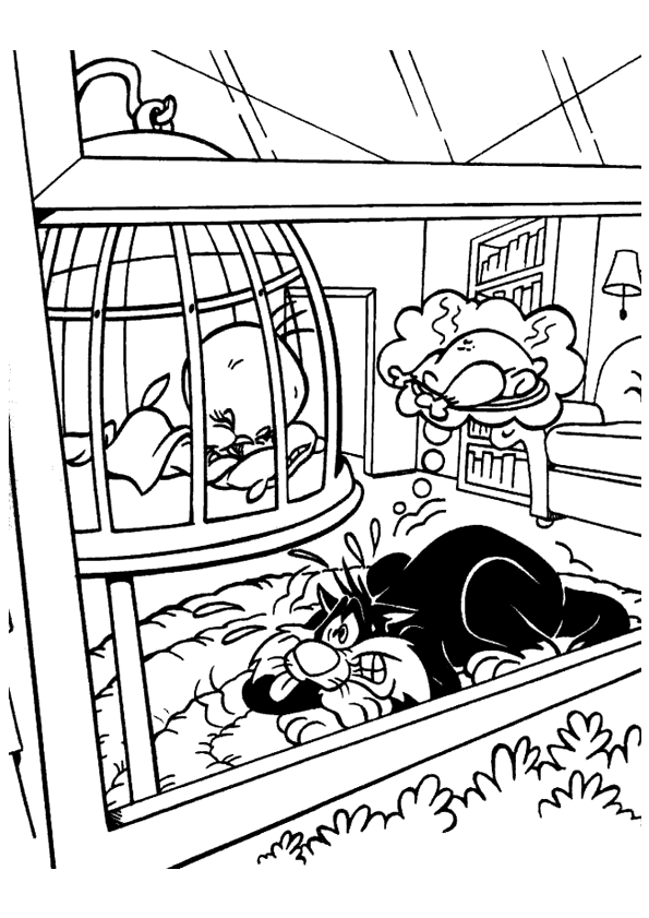 rub coloriages looney toons et tiny toons
