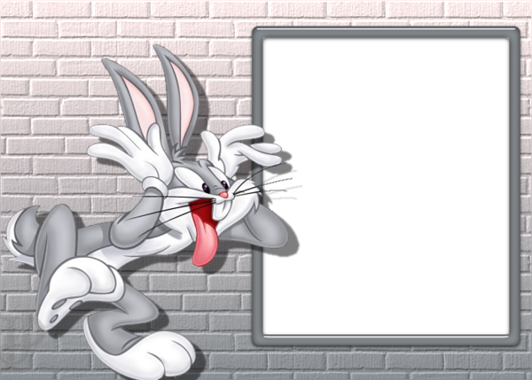 CADRE PHOTO LOONEY Tunes 2x3 EUR 5,00 - FR CADRE PHOTO LOONEY Tunes 2x3 EUR 5,00 - FR